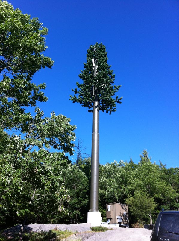 cell-phone-tower-disguised-hidden-antena